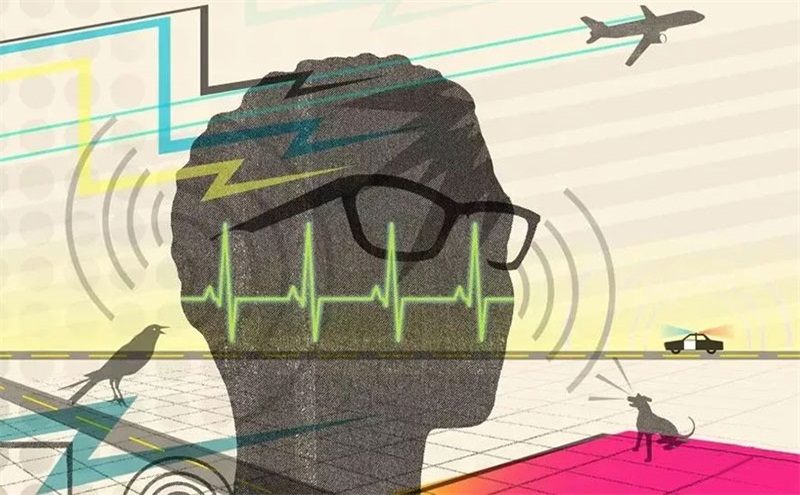 悲劇，聲學處理不好，噪音引發血案