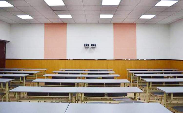 安徽馬鞍山學校木質(zhì)吸音板聲學工程 安徽馬鞍山學校木質(zhì)吸音板聲學工程